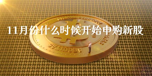 11月份什么时候开始申购新股_https://wap.jnlaobingbanjia.com_金融理财_第1张