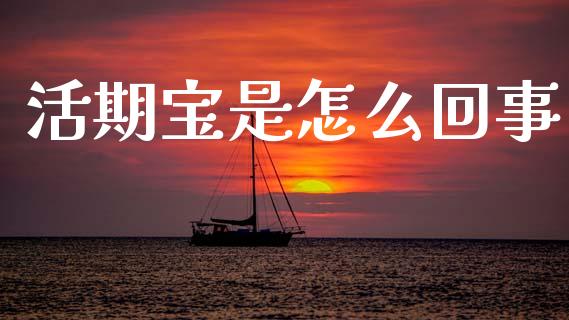 活期宝是怎么回事_https://wap.jnlaobingbanjia.com_财务管理_第1张