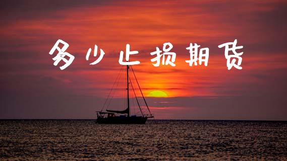 多少止损期货_https://wap.jnlaobingbanjia.com_证券公告_第1张
