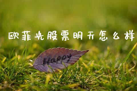 欧菲光股票明天怎么样_https://wap.jnlaobingbanjia.com_股市行情_第1张
