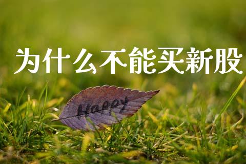 为什么不能买新股_https://wap.jnlaobingbanjia.com_证券公告_第1张