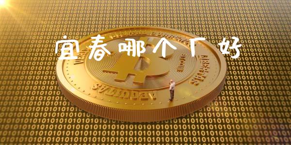 宜春哪个厂好_https://wap.jnlaobingbanjia.com_财务管理_第1张