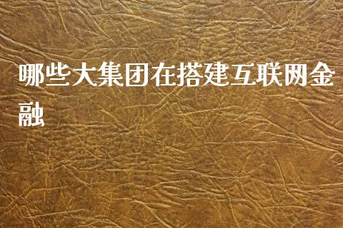 哪些大集团在搭建互联网金融_https://wap.jnlaobingbanjia.com_股市行情_第1张