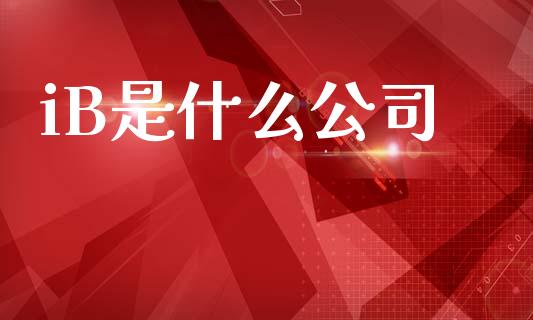 iB是什么公司_https://wap.jnlaobingbanjia.com_金融理财_第1张