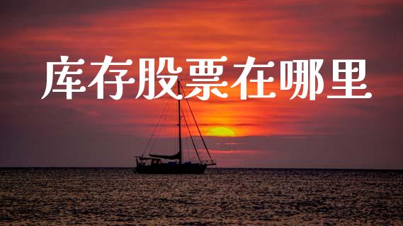 库存股票在哪里_https://wap.jnlaobingbanjia.com_股市行情_第1张