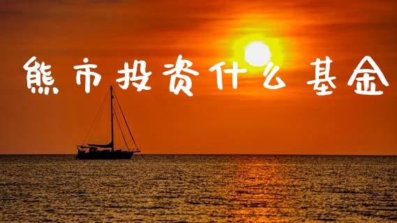 熊市投资什么基金_https://wap.jnlaobingbanjia.com_财经资讯_第1张