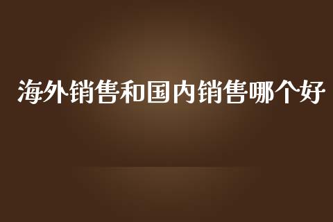 海外销售和国内销售哪个好_https://wap.jnlaobingbanjia.com_财务管理_第1张