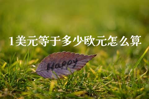 1美元等于多少欧元怎么算_https://wap.jnlaobingbanjia.com_证券公告_第1张