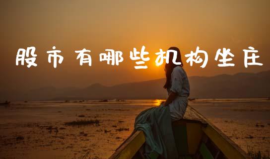 股市有哪些机构坐庄_https://wap.jnlaobingbanjia.com_证券公告_第1张