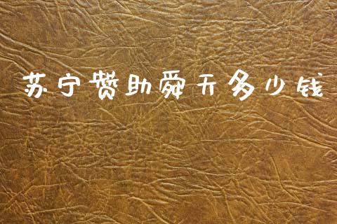 苏宁赞助舜天多少钱_https://wap.jnlaobingbanjia.com_股市行情_第1张