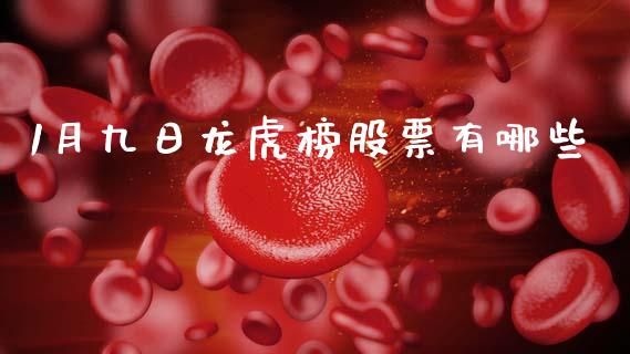 1月九日龙虎榜股票有哪些_https://wap.jnlaobingbanjia.com_证券公告_第1张