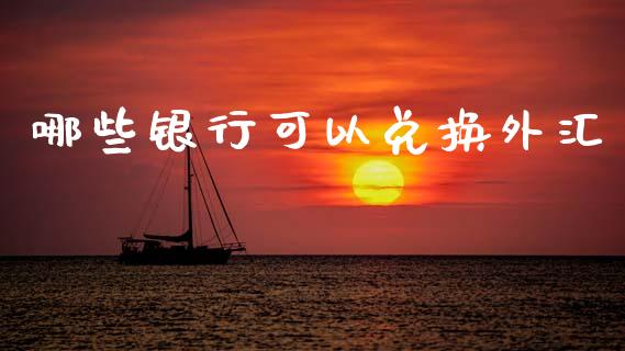 哪些银行可以兑换外汇_https://wap.jnlaobingbanjia.com_股市行情_第1张