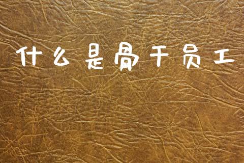 什么是骨干员工_https://wap.jnlaobingbanjia.com_金融理财_第1张