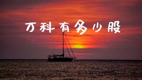 万科有多少股_https://wap.jnlaobingbanjia.com_证券公告_第1张