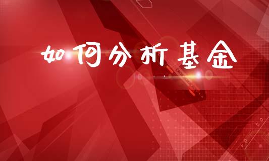 如何分析基金_https://wap.jnlaobingbanjia.com_股市行情_第1张