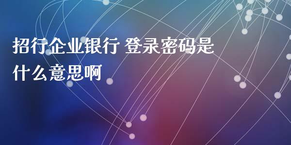 招行企业银行 登录密码是什么意思啊_https://wap.jnlaobingbanjia.com_证券公告_第1张