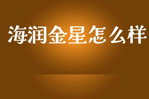 海润金星怎么样_https://wap.jnlaobingbanjia.com_财务管理_第1张