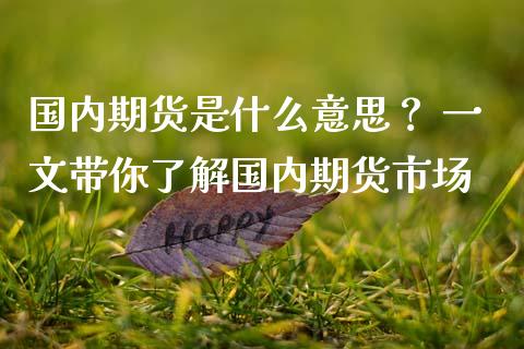 国内期货是什么意思？ 一文带你了解国内期货市场_https://wap.jnlaobingbanjia.com_股市行情_第1张