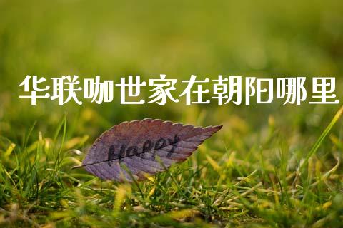 华联咖世家在朝阳哪里_https://wap.jnlaobingbanjia.com_基金分析_第1张