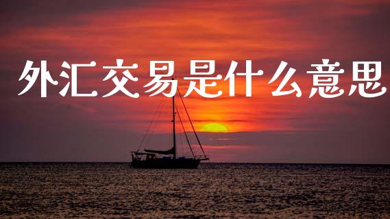 外汇交易是什么意思_https://wap.jnlaobingbanjia.com_金融理财_第1张