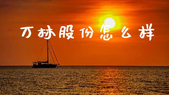 万林股份怎么样_https://wap.jnlaobingbanjia.com_财经资讯_第1张