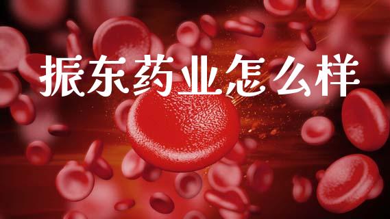 振东药业怎么样_https://wap.jnlaobingbanjia.com_金融理财_第1张