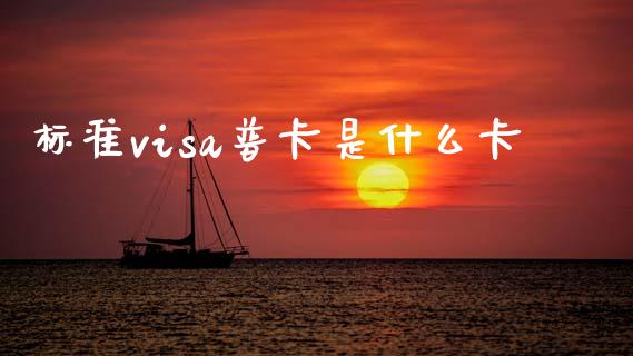 标准visa普卡是什么卡_https://wap.jnlaobingbanjia.com_财务管理_第1张