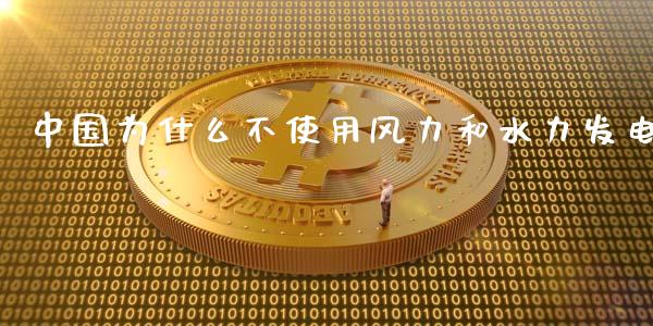 中国为什么不使用风力和水力发电_https://wap.jnlaobingbanjia.com_基金分析_第1张
