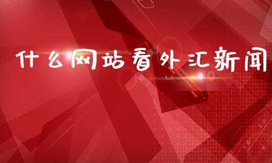 什么网站看外汇新闻_https://wap.jnlaobingbanjia.com_金融理财_第1张