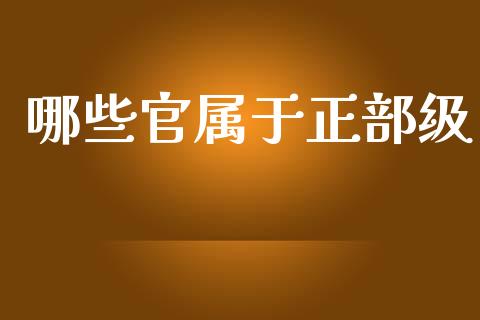 哪些官属于正部级_https://wap.jnlaobingbanjia.com_金融理财_第1张