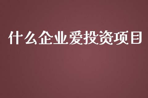 什么企业爱投资项目_https://wap.jnlaobingbanjia.com_财务管理_第1张