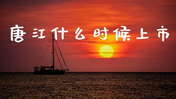 唐江什么时候上市_https://wap.jnlaobingbanjia.com_股市行情_第1张