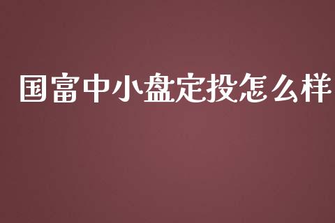国富中小盘定投怎么样_https://wap.jnlaobingbanjia.com_金融理财_第1张