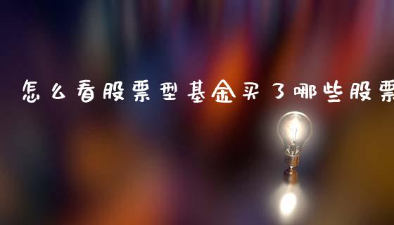 怎么看股票型基金买了哪些股票_https://wap.jnlaobingbanjia.com_股市行情_第1张