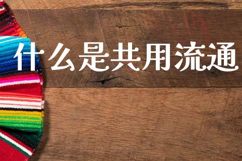什么是共用流通_https://wap.jnlaobingbanjia.com_财务管理_第1张