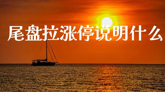尾盘拉涨停说明什么_https://wap.jnlaobingbanjia.com_基金分析_第1张