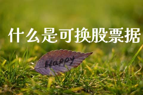 什么是可换股票据_https://wap.jnlaobingbanjia.com_财务管理_第1张