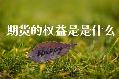 期货的权益是是什么_股市行情_第1张_财经资讯_股市行情_财务管理_金融理财 期货的权益是是什么_https://wap.jnlaobingbanjia.com_股市行情_第1张