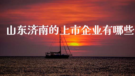 山东济南的上市企业有哪些_https://wap.jnlaobingbanjia.com_财务管理_第1张