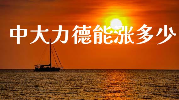 中大力德能涨多少_https://wap.jnlaobingbanjia.com_基金分析_第1张