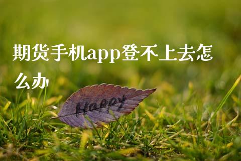 期货手机app登不上去怎么办_https://wap.jnlaobingbanjia.com_证券公告_第1张