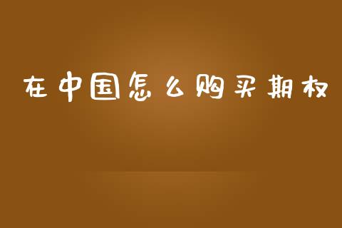 在中国怎么购买期权_https://wap.jnlaobingbanjia.com_财务管理_第1张