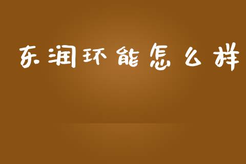 东润环能怎么样_https://wap.jnlaobingbanjia.com_证券公告_第1张