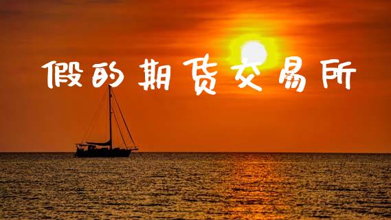 假的期货交易所_https://wap.jnlaobingbanjia.com_证券公告_第1张