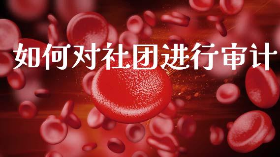 如何对社团进行审计_https://wap.jnlaobingbanjia.com_财务管理_第1张