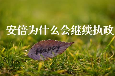 安倍为什么会继续执政_https://wap.jnlaobingbanjia.com_证券公告_第1张