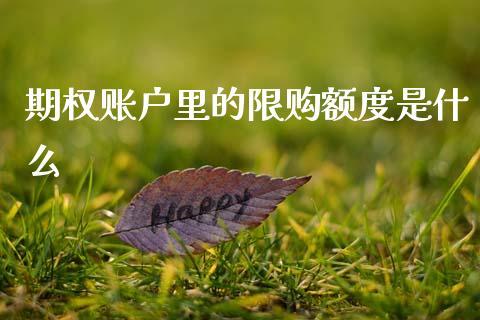 期权账户里的限购额度是什么_https://wap.jnlaobingbanjia.com_金融理财_第1张