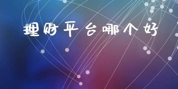 理财平台哪个好_https://wap.jnlaobingbanjia.com_基金分析_第1张