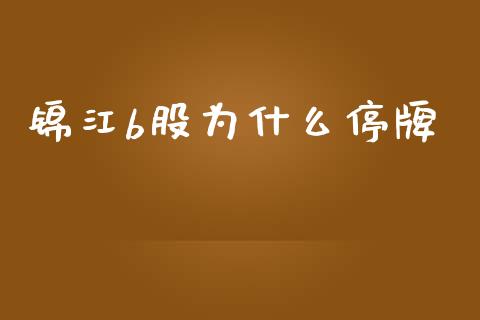 锦江b股为什么停牌_https://wap.jnlaobingbanjia.com_财经资讯_第1张