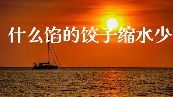 什么馅的饺子缩水少_https://wap.jnlaobingbanjia.com_财务管理_第1张